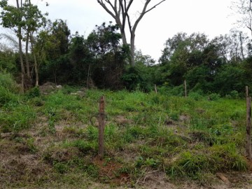 Terreno - Venda - Barreiros - Pescaria Brava - SC