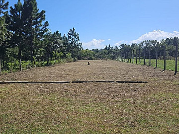 Terreno na Barbacena